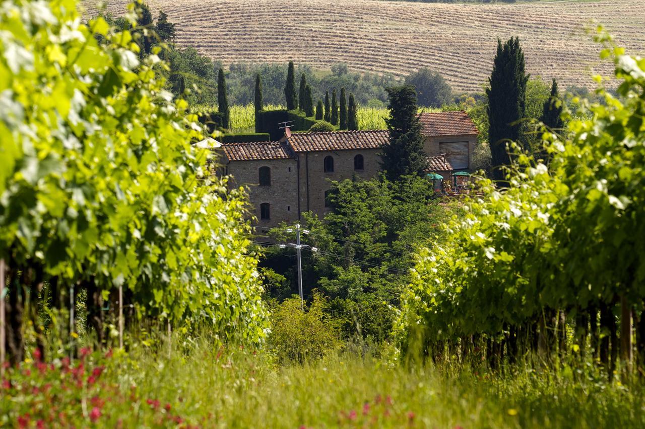 Rocca Degli Olivi