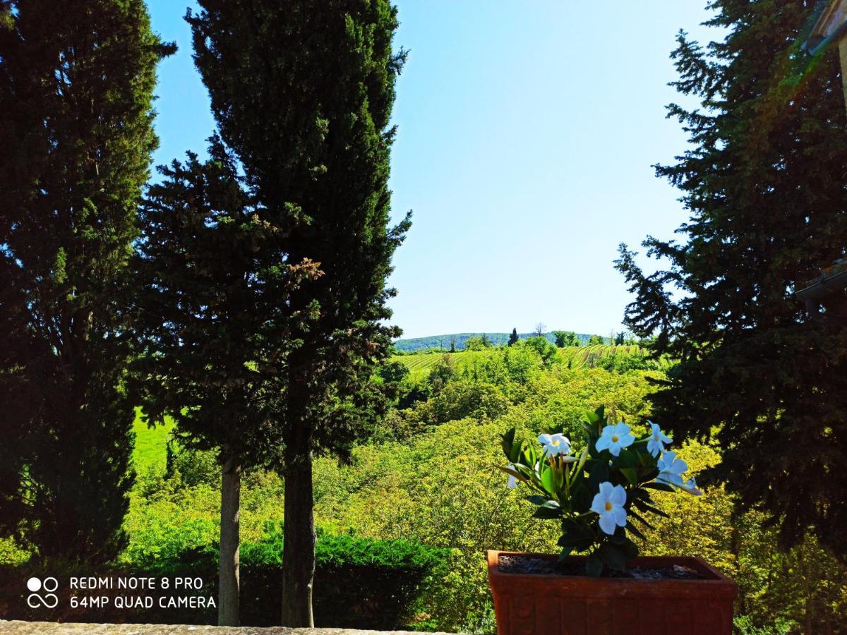 Rocca Degli Olivi